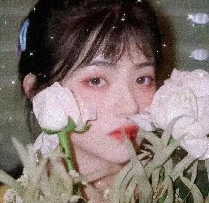 玉海棠